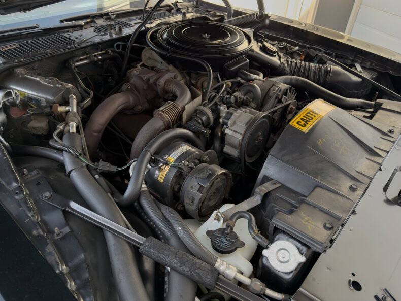 1981 Pontiac Firebird Trans Am