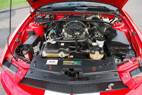 2007 Ford Shelby GT500