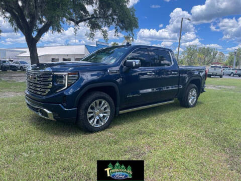 2023 GMC Sierra 1500 for sale at TIMBERLAND FORD in Perry FL