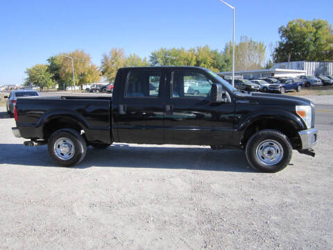 2011 Ford F-250 Super Duty for sale at BRETT SPAULDING SALES in Onawa IA