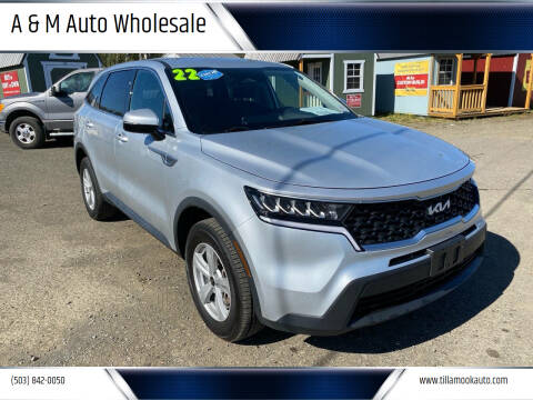 2022 Kia Sorento for sale at A & M Auto Wholesale in Tillamook OR