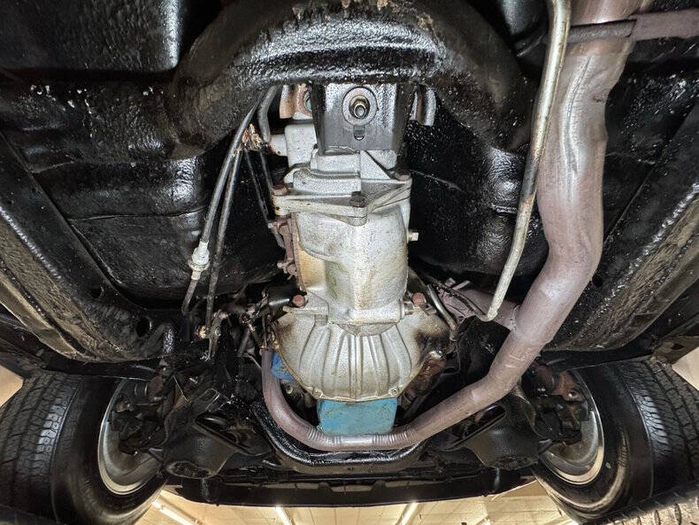 1981 Pontiac Firebird Trans Am