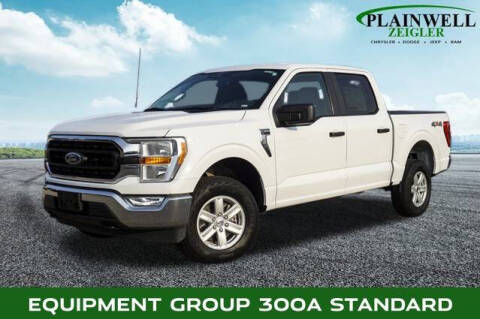 2022 Ford F-150 for sale at Harold Zeigler Ford in Plainwell MI