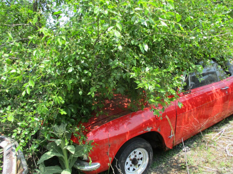 1965 Chevrolet Corvair