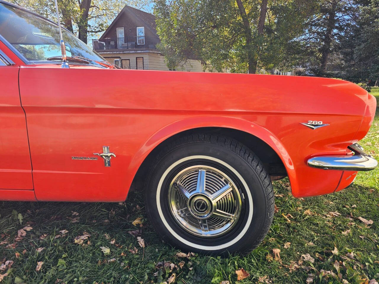 1965 Ford Mustang 384