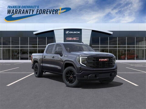 2022 GMC Sierra 1500 for sale at FRANKLIN CHEVROLET CADILLAC in Statesboro GA