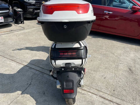 2020 Zebra E-bike