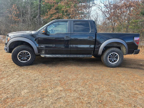 2011 Ford F-150 for sale at Expressway Auto Auction in Howard City MI