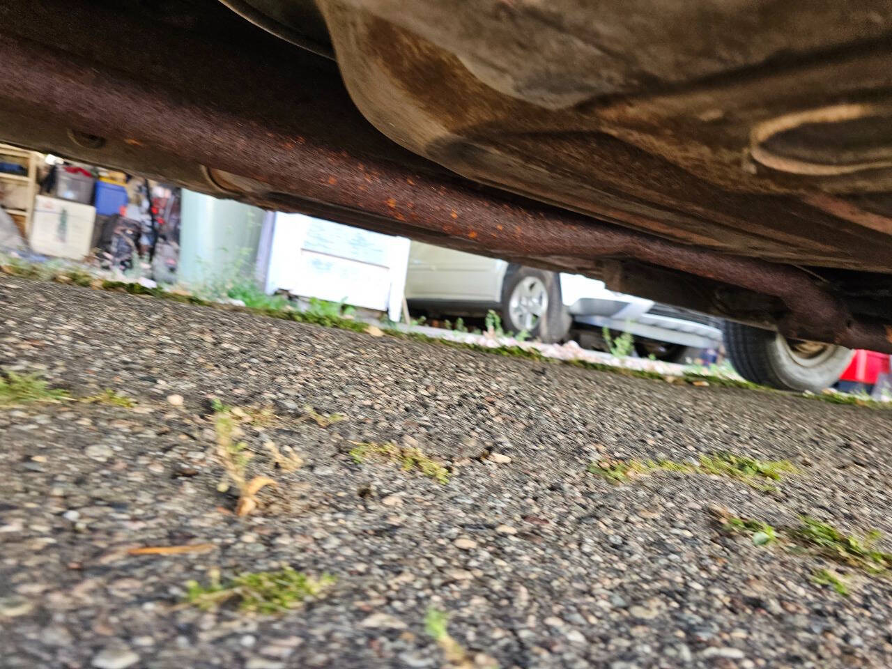 1964 Ford Mustang 208