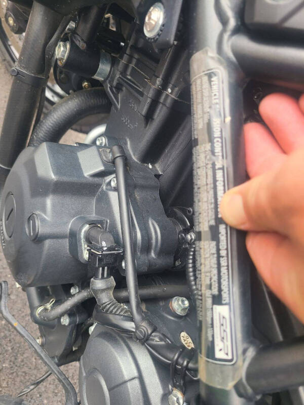 2021 Benelli 502X