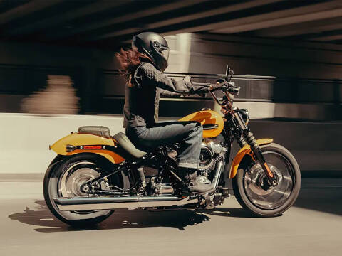 2025 Harley-Davidson Street Bob