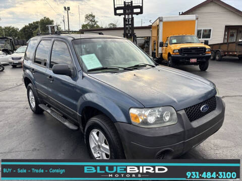 2006 Ford Escape for sale at Blue Bird Motors in Crossville TN