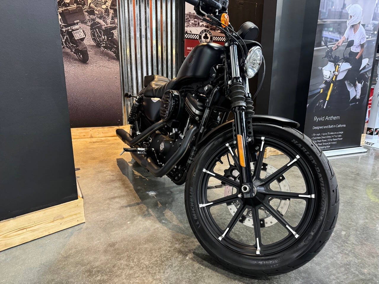 2022 Harley-Davidson XL 883 Sportster for sale at TEXAS MOTORS POWERSPORT in ORLANDO, FL