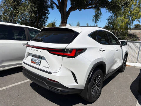 2024 Lexus NX 250