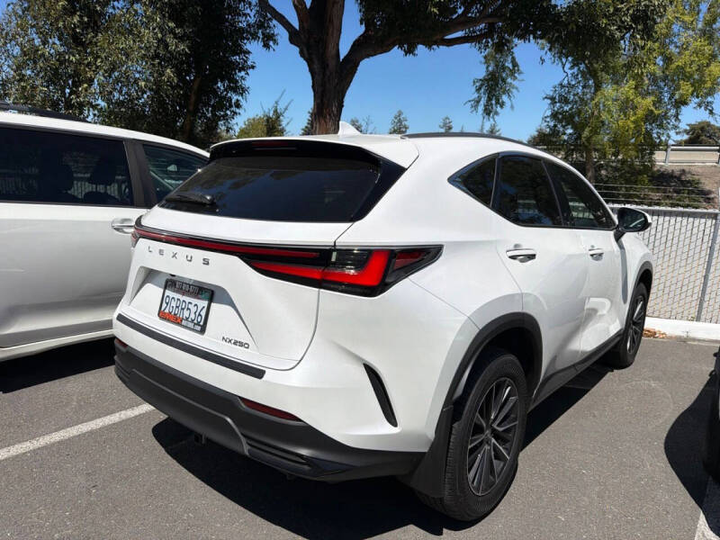 2024 Lexus NX 250