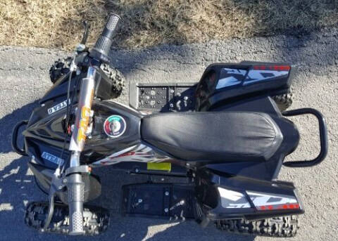 2018 500 Watt 36 Volt Electric Four TAO-E1-500