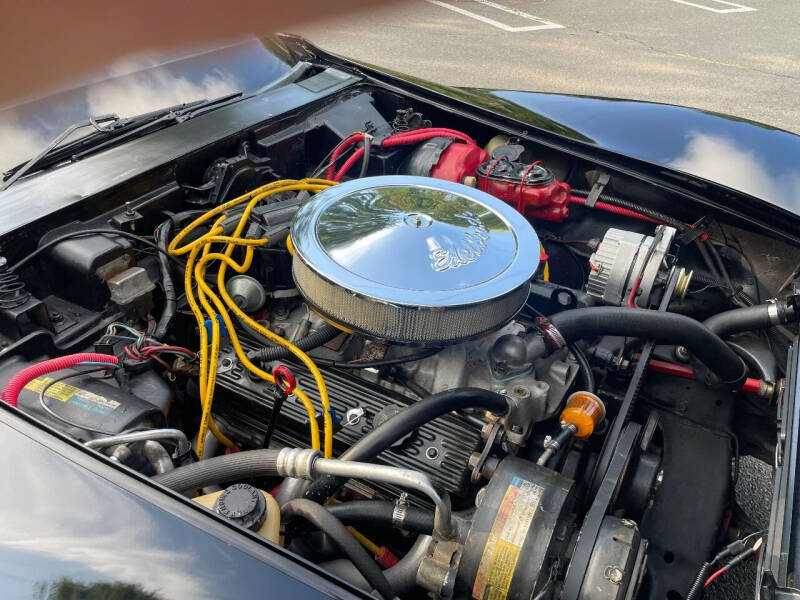 1981 Chevrolet Corvette