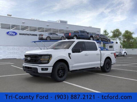 2024 Ford F-150 for sale at TRI-COUNTY FORD in Mabank TX