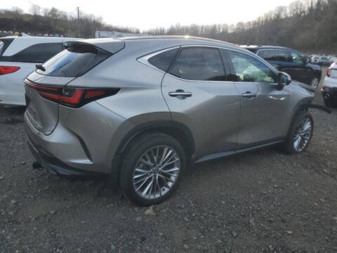 2025 Lexus NX 350h Premium