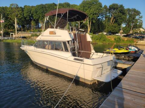 1982 Bayliner CONTESSA for sale at Bel Air Auto Sales in Milford CT
