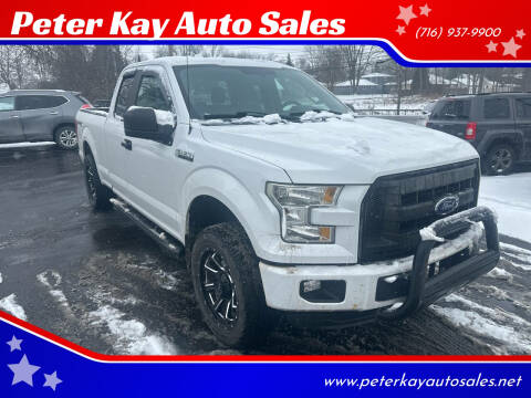 2015 Ford F-150 for sale at Peter Kay Auto Sales in Alden NY