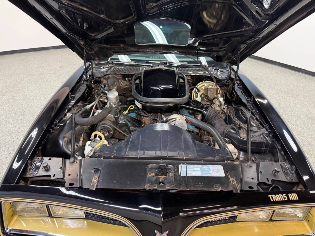 1977 Pontiac Firebird 69