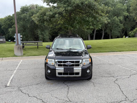 2010 Ford Escape Limited