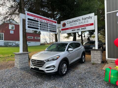2016 Hyundai Tucson for sale at Caulfields Family Auto Sales in Bath PA
