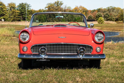 1956 Ford Thunderbird