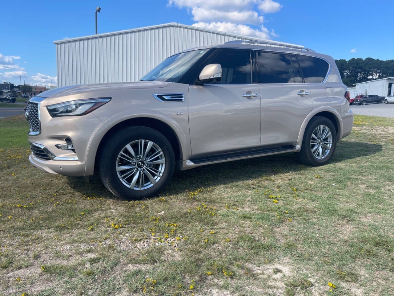 2019 INFINITI QX80 for sale at Madco Auto Sales in Bryant, AR