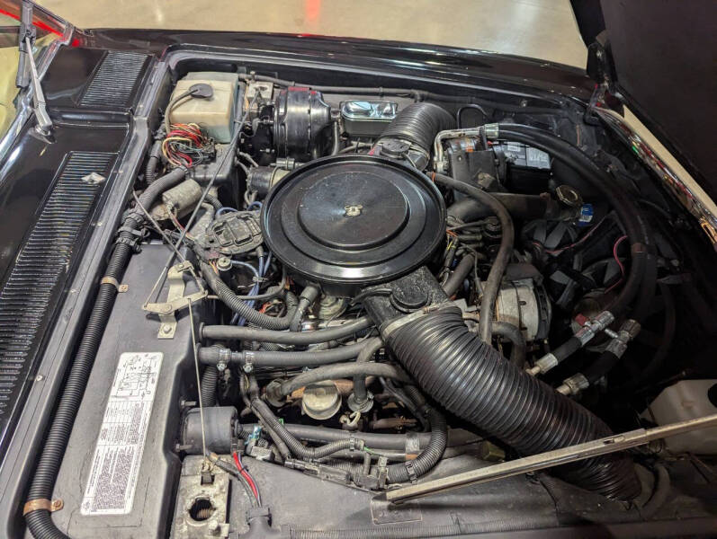 1984 Avanti II