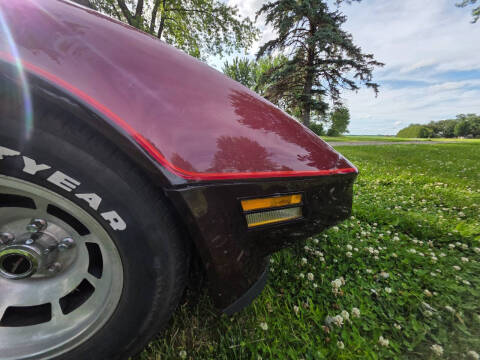 1981 Chevrolet Corvette