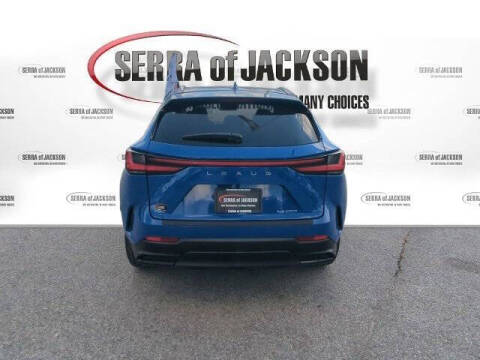2025 Lexus NX 250