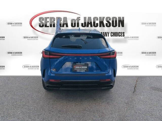 2025 Lexus NX 250