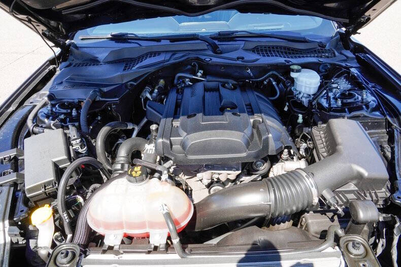 2019 Ford Mustang