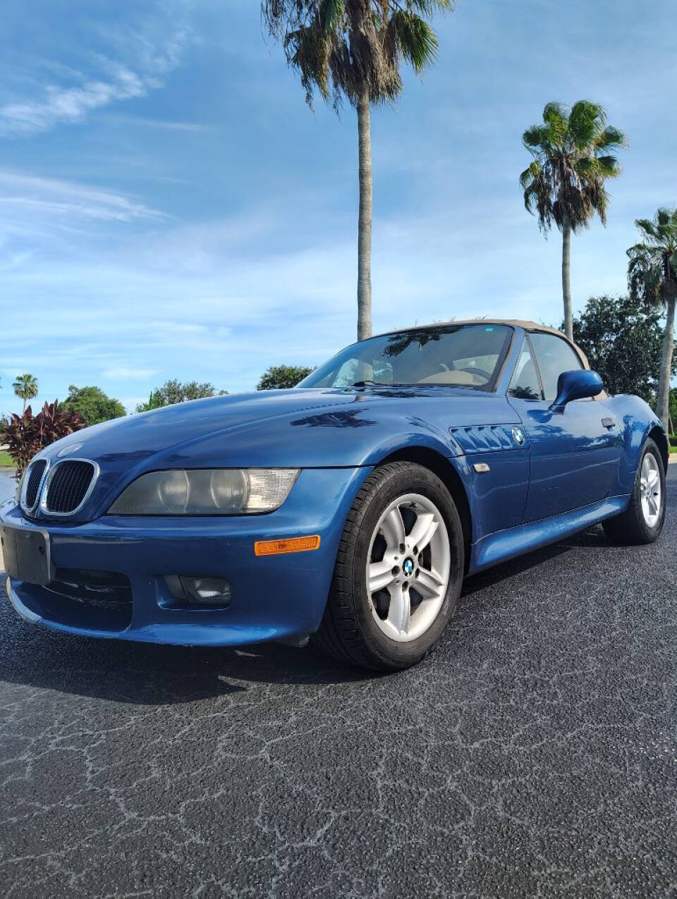 2001 BMW Z3 for sale at Amatrudi Motor Sports in Fort Pierce, FL