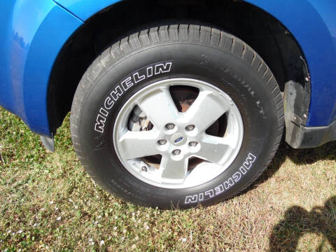 2011 Ford Escape XLT