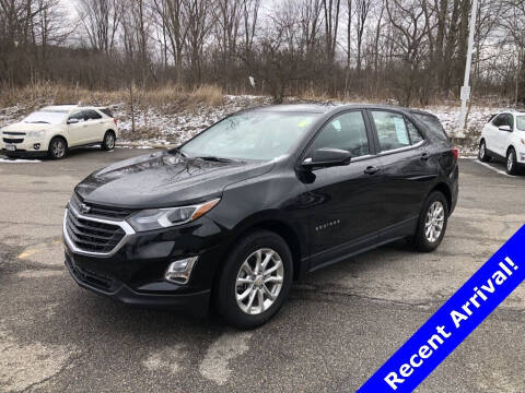 2020 Chevrolet Equinox for sale at Ganley Chevy of Aurora in Aurora OH
