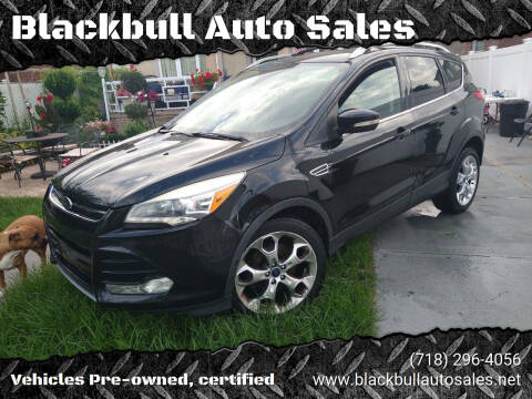 2016 Ford Escape for sale at Blackbull Auto Sales in Ozone Park NY