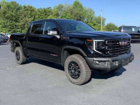 2024 GMC Sierra 1500 for sale at HAYES CHEVROLET Buick GMC Cadillac Inc in Alto GA