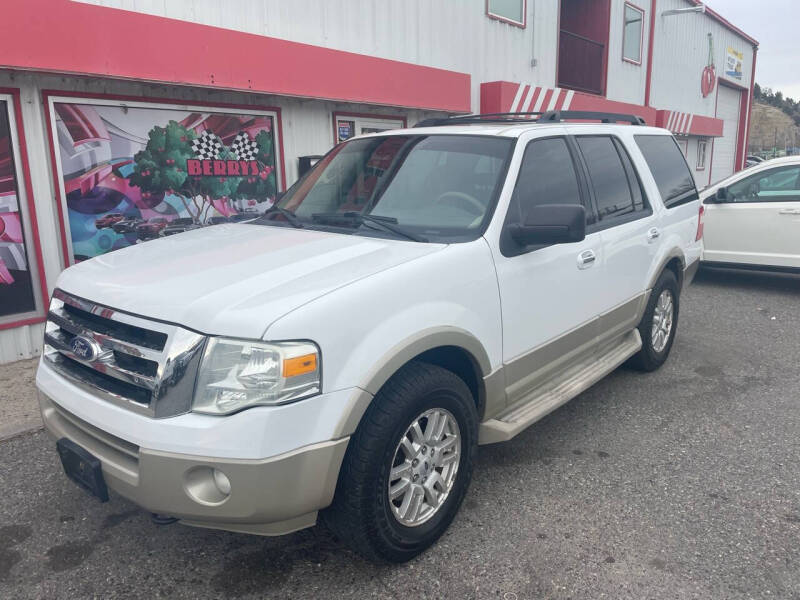 2010 Ford Expedition Eddie Bauer photo 2