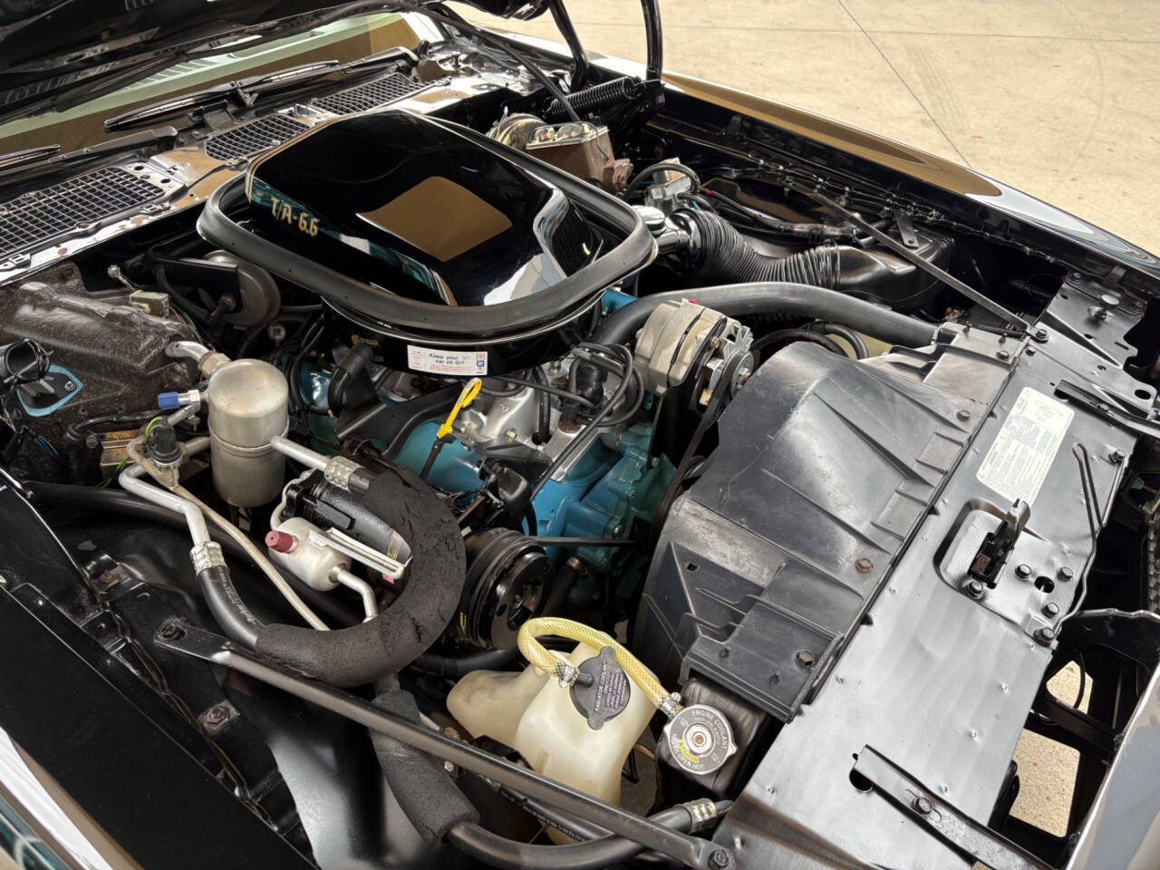 1977 Pontiac Firebird 98