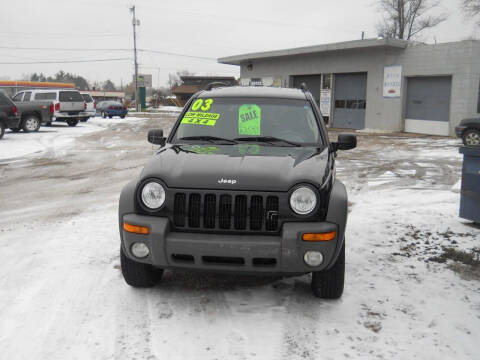 2003 Jeep Liberty for sale at Shaw Motor Sales in Kalkaska MI