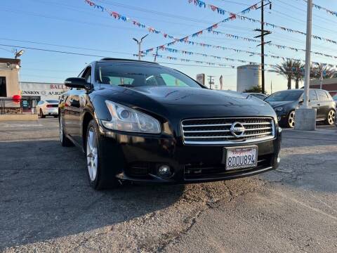 2010 Nissan Maxima for sale at Tristar Motors in Bell CA