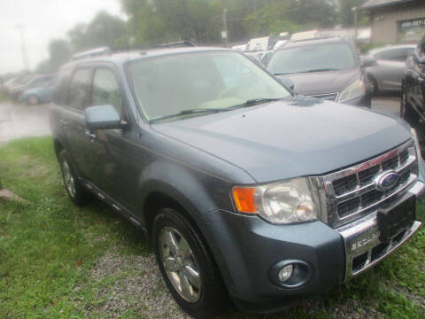 2011 Ford Escape Limited