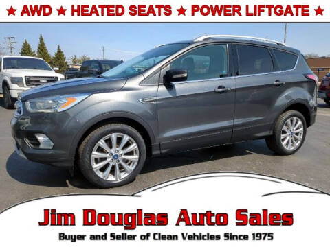 2017 Ford Escape for sale at Jim Douglas Auto Sales in Pontiac MI