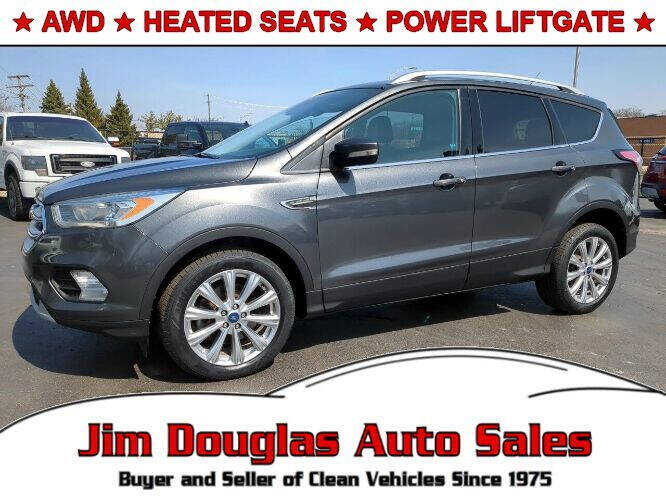 2017 Ford Escape for sale at Jim Douglas Auto Sales in Pontiac MI