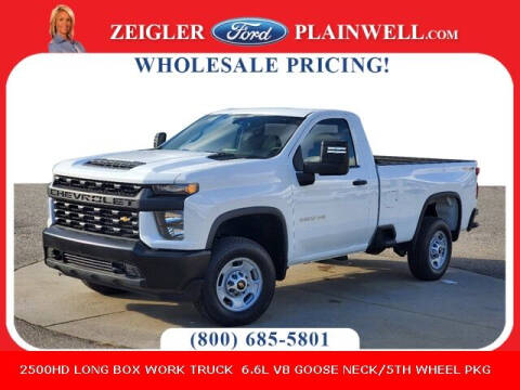 2022 Chevrolet Silverado 2500HD for sale at Zeigler Ford of Plainwell - Devon Rainwater in Plainwell MI