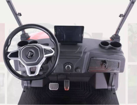 2025 Denago Rover XL6