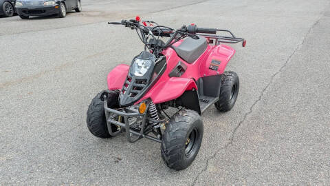 2024 TrailMaster Mini 110 Sport